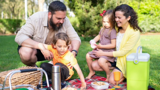 A family enjoying a picnic in the summer