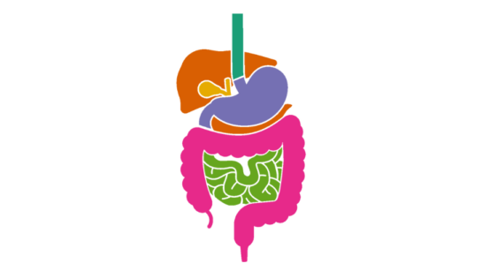 Gastroparesis affects approximately five million people worldwide.