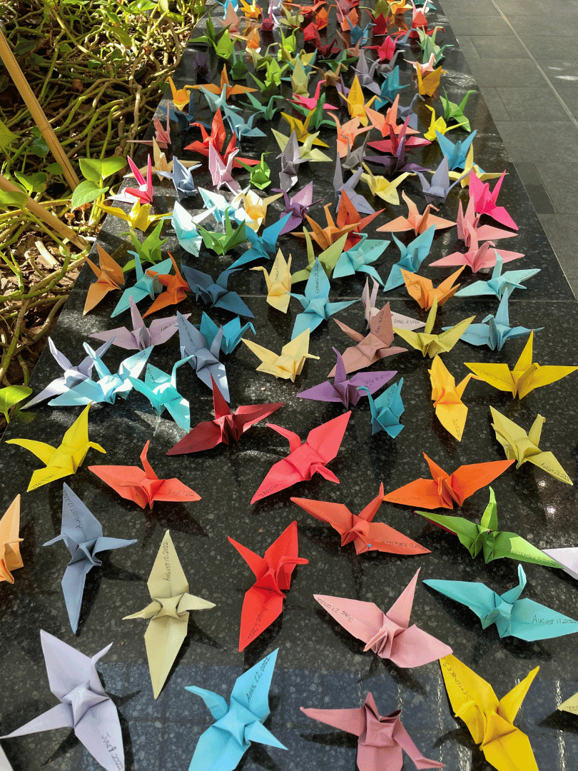 Paper cranes on display