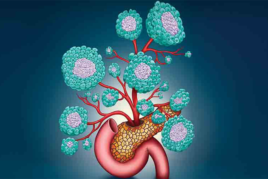 Représentation artistique d'organoïdes de macrophages endocriniens dérivés de cellules souches embryonnaires humaines sous forme de fleurs.