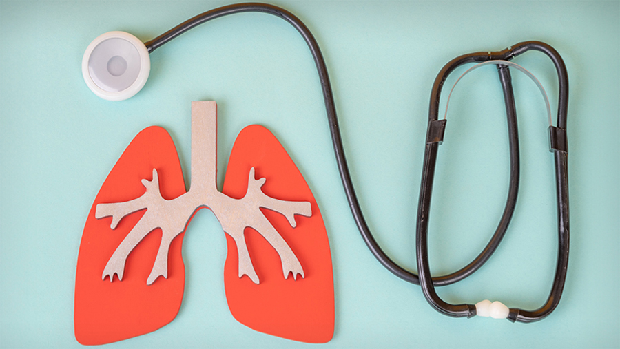 A design of lungs and a stethoscope with a teal background 