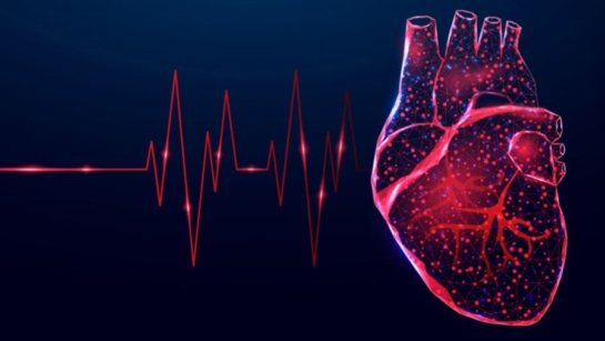 Stem cell graphic with a heart pattern and see-through image of a heart on a blue background