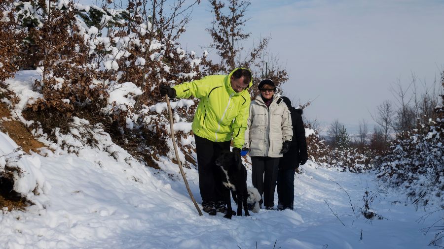 A family walking in the snow with their dog on a cloudy winter day