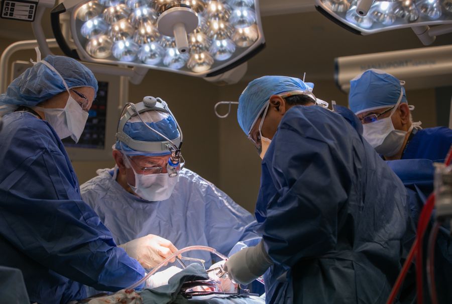 Dr. Tirone David performing surgery