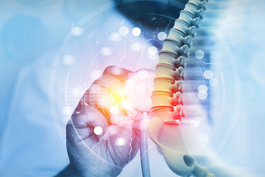 Spinal cord model with a digital glass and light shining through it.