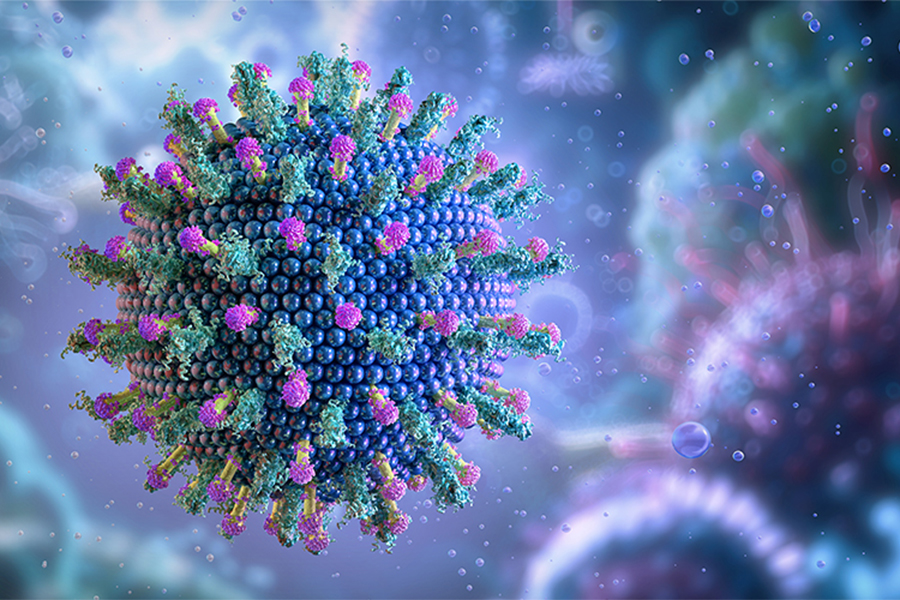 Stock image of the hepatitis B virus.