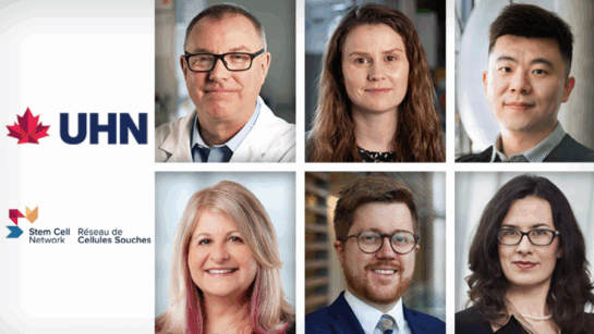 Stem Cell Network Awards with UHN researchers
