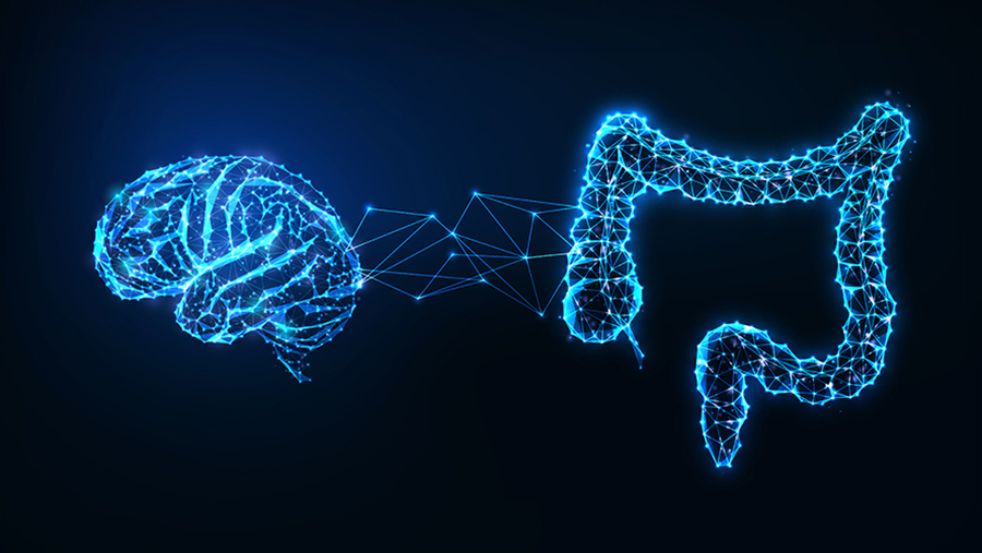 Bile acids, key players in digestion, influence metabolism and food intake by activating receptors in the brain, highlighting potential feedback loops that help regulate energy balance and lower food intake and body weight in obesity. (Photo: Getty Images)