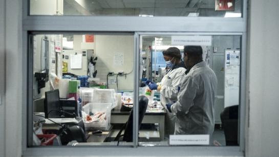 UHN researchers in a lab