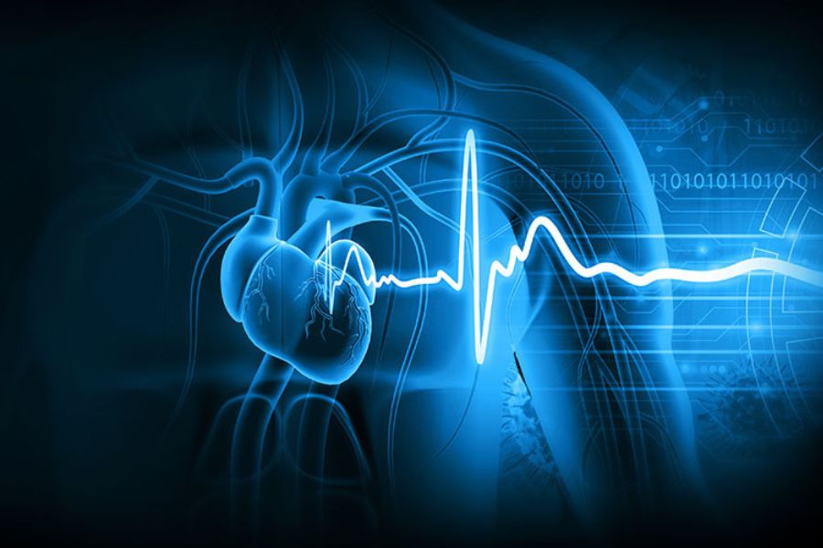 AI graphic with a human heart