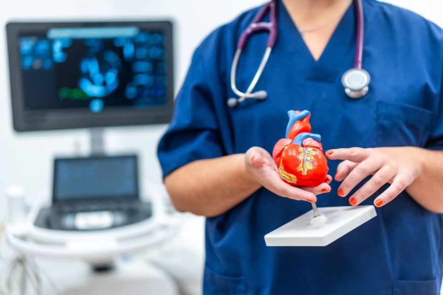 The heart of the matter: Debunking common heart attack myths