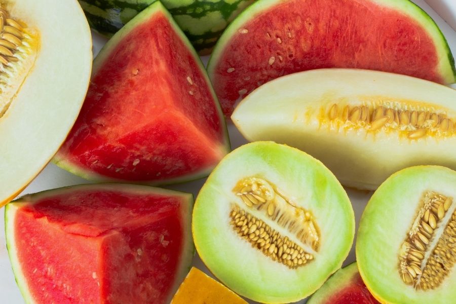 An image of melons, watermelon, cantaloupe and honeydew