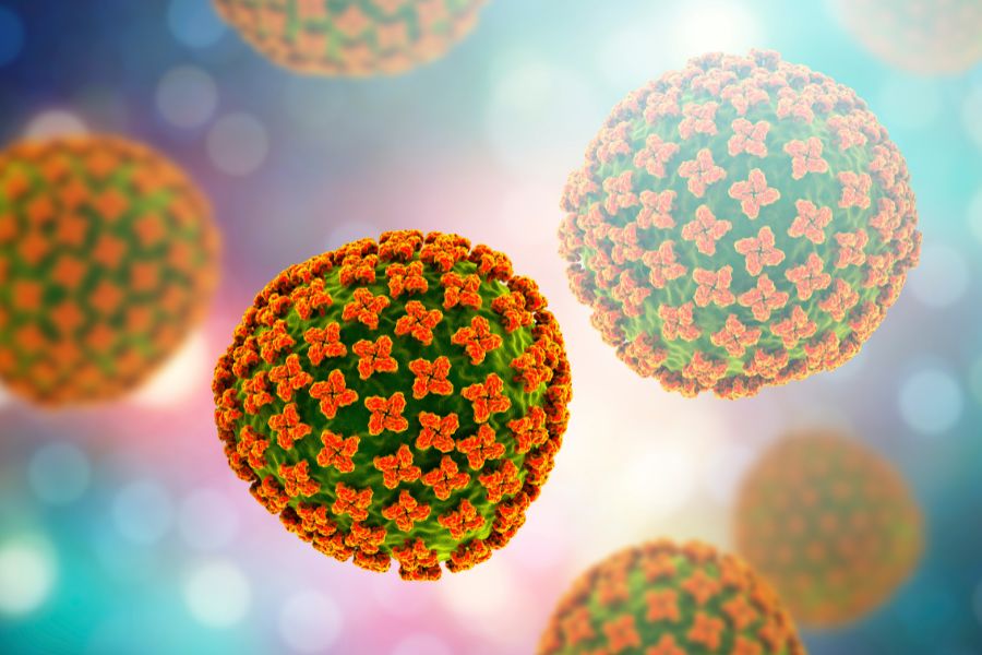 Hantavirus explained: What you should know from the experts